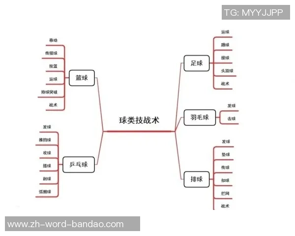 西安排球队战术创新引领排球潮流最新TOP10战术解析