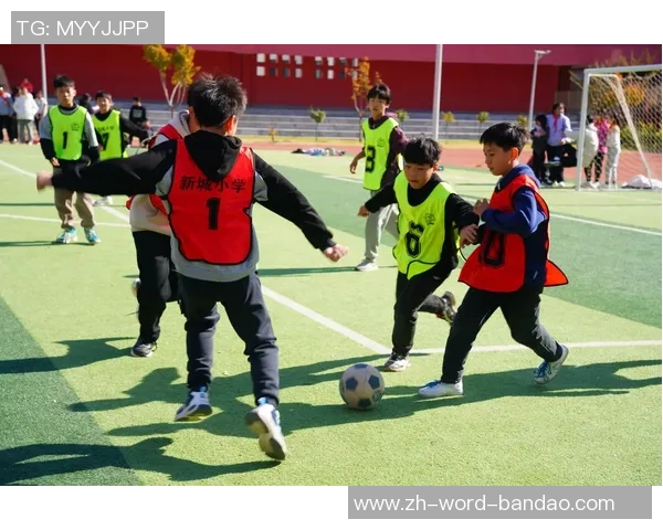 班级足球收纳的创意方案与实用技巧分享让校园生活更加有趣