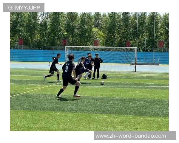 足球好狗带你领略绿茵场上的激情与友情，探索球场背后的故事与乐趣